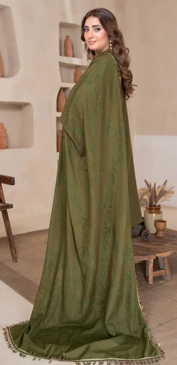 AAINA BR 05 Supreme Zari WOOL Suit with Jacquard Wooly Shawl