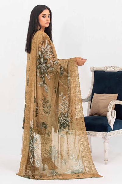 Bana Dora viscose embroidery suit with chiffon embroidery dupatta