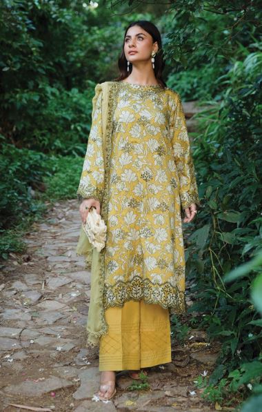 Linen embroidery suit with chiffon embroidery dupatta