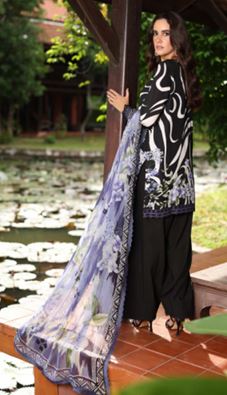 DAILY DELIGHTS NUREH DD-24 Embroidered slub linen viscose collection with bamber chiffon dupatta