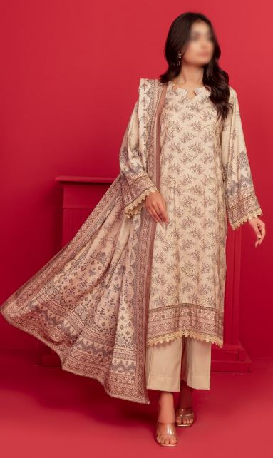 Pashmina Embroidery suit with Print Shawl