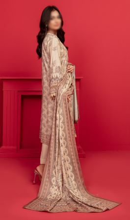 Pashmina Embroidery suit with Print Shawl