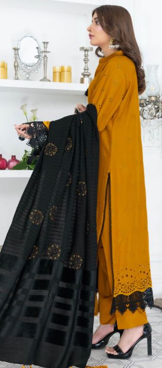 VIRSA V/70 D-02 Pashmina Embroidery suit with contrast Pashmina Embroidery Shawl