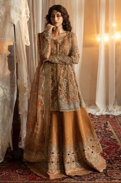 NOORAY=HAND EMBELLISHED EMBROIDERED SUIT WITH ORGANZA EMBROIDERED DUPATTA 3PC