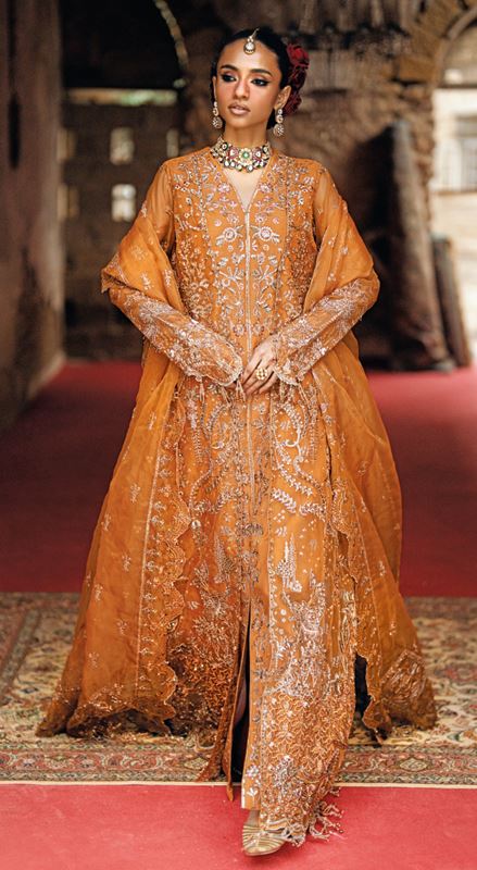 MEHERMAAH FLORENT ZARPOSH Embroidered FANCY Suit With Embroidered Organza Dupatta (Ready to Wear)
