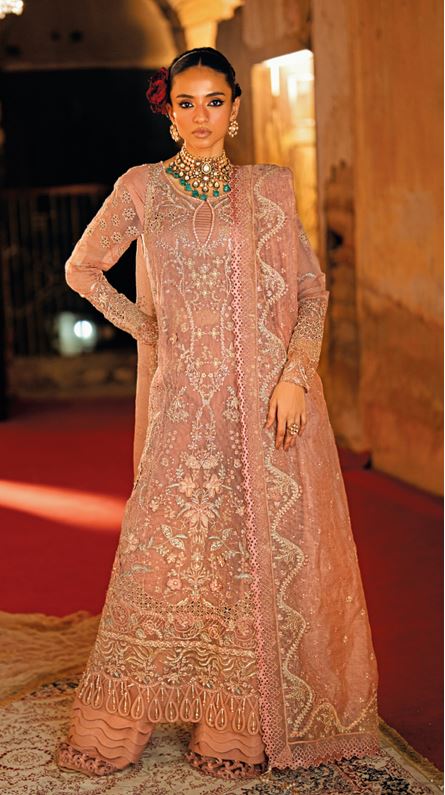 MEHERMAAH FLORENT NAYAB Embroidered FANCY Embroidered Fancy Net Suit With Embroidered Dupatta (Ready to Wear)
